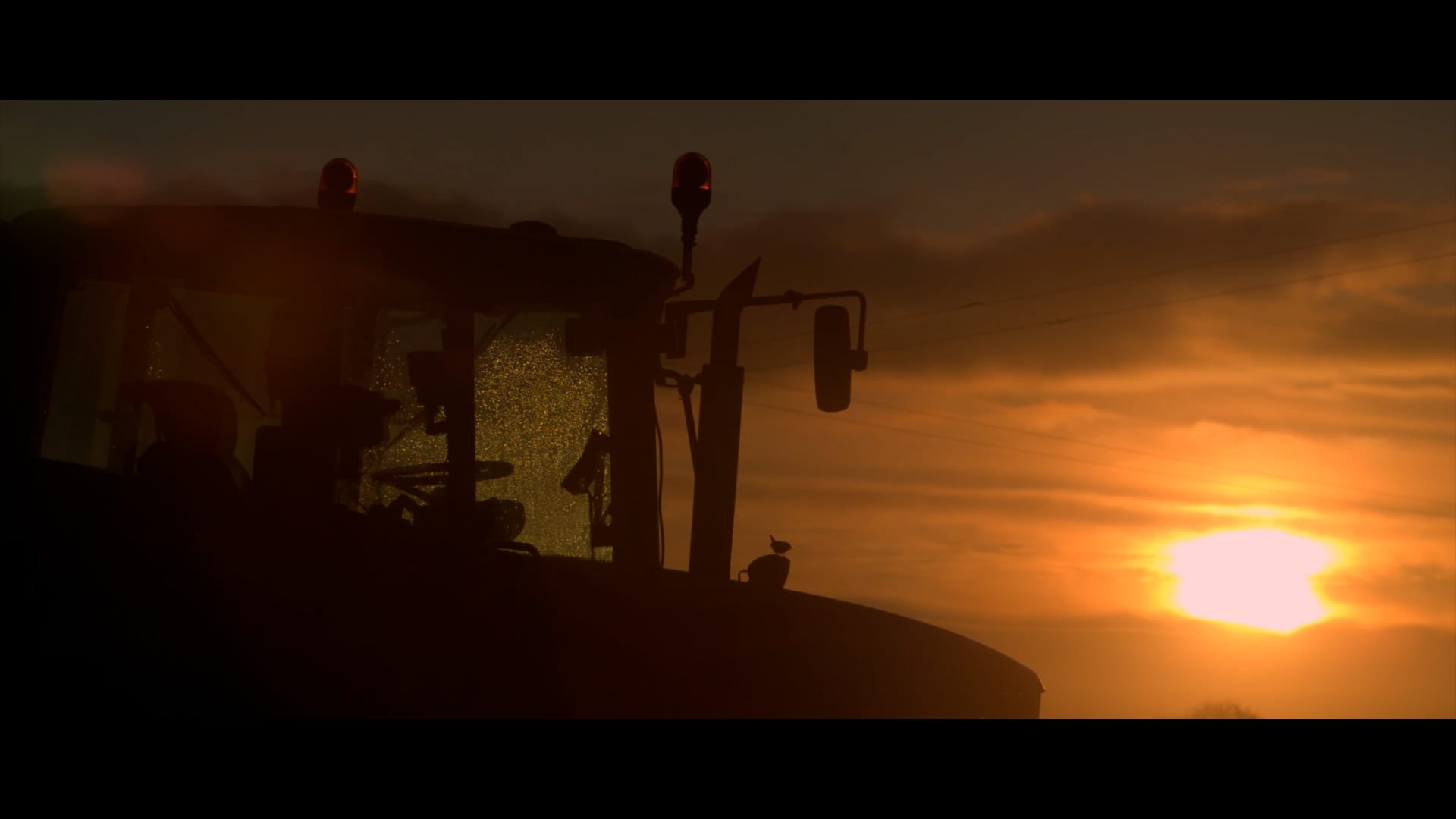 sunset tractor bird cinematic shot
