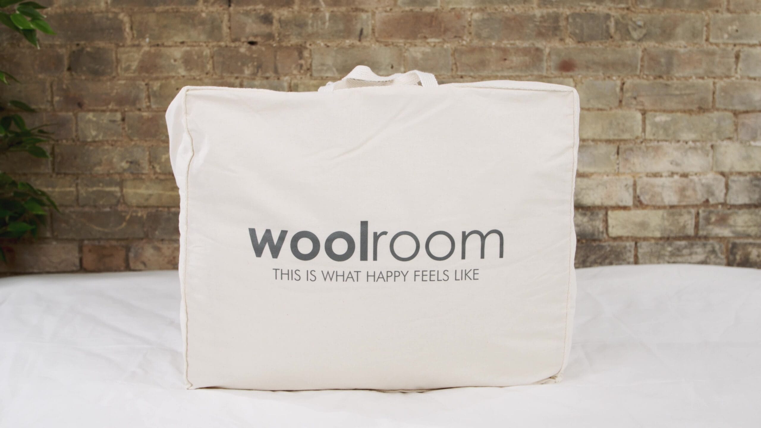 bed room product video logo